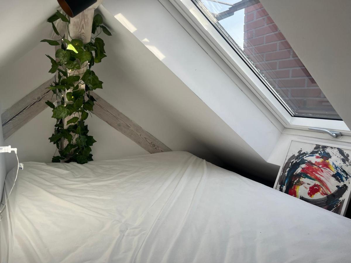 Apartament Attic Stary Toruń
